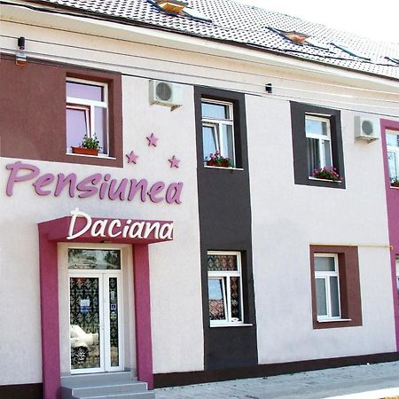 Pension Daciana Bacău エクステリア 写真