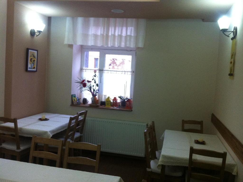 Pension Daciana Bacău エクステリア 写真